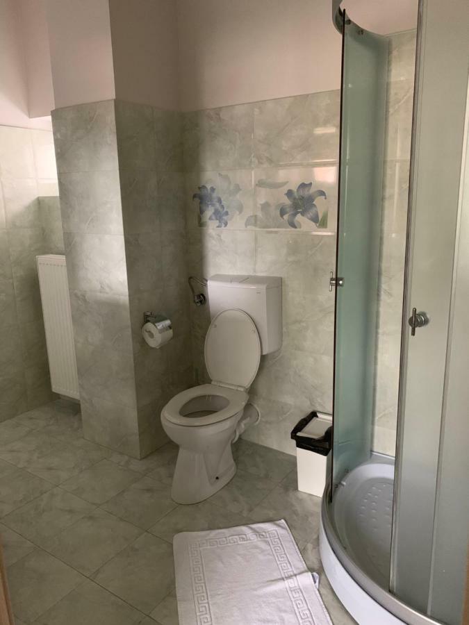 Vila Curcubeu Hotel Busteni Ngoại thất bức ảnh