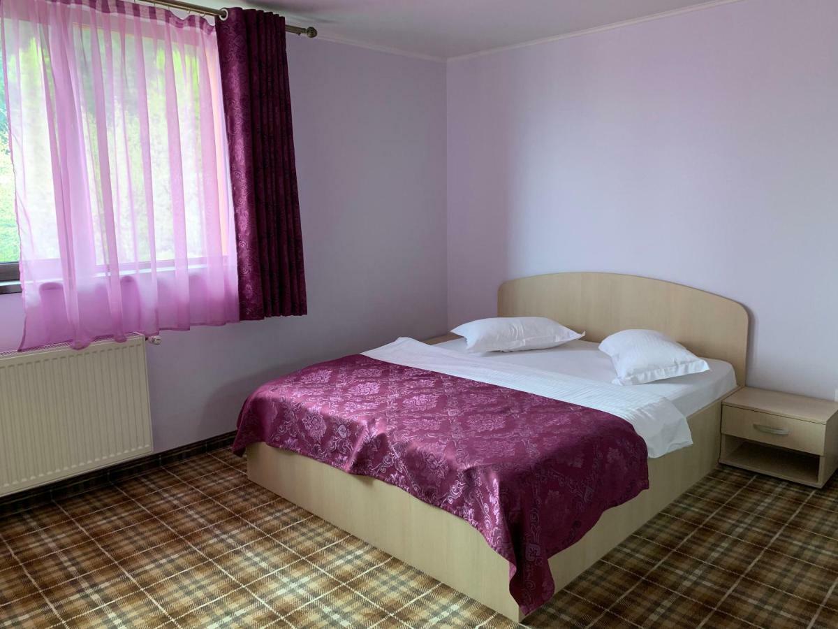 Vila Curcubeu Hotel Busteni Ngoại thất bức ảnh